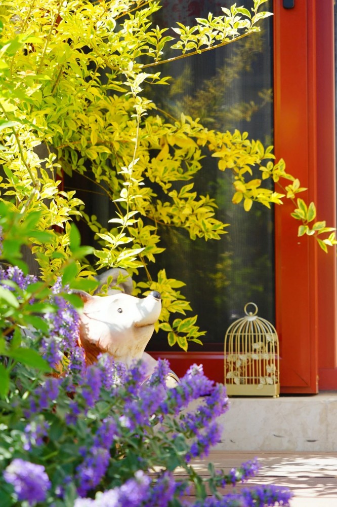 1686034430101795.jpg 1686034430101795.jpg