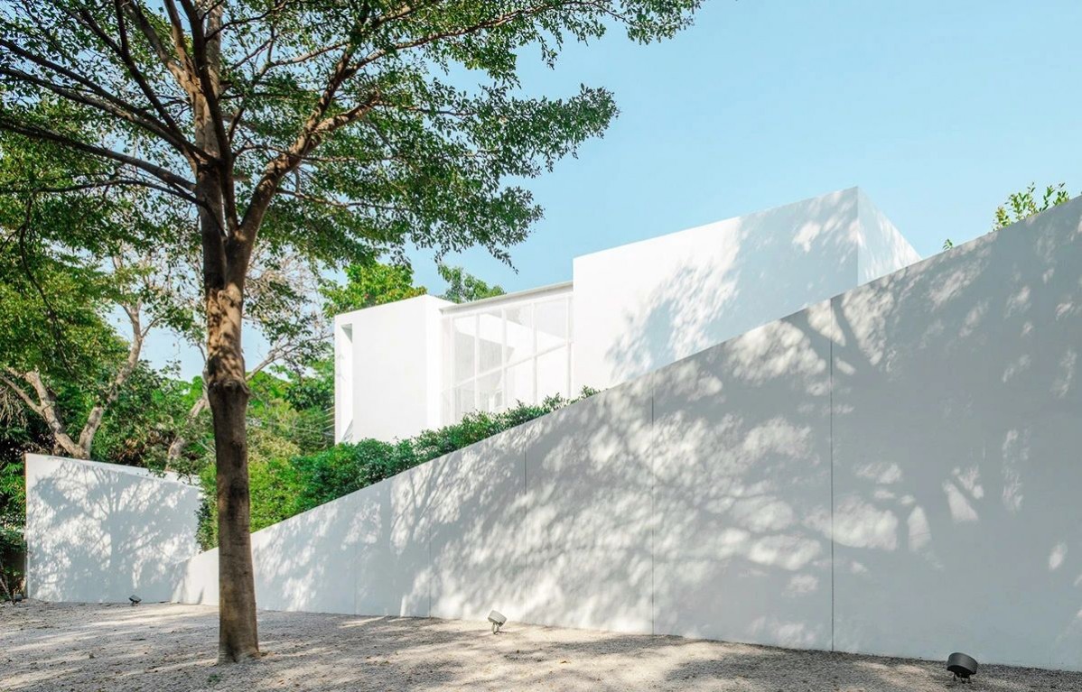 1692690767513290.jpg 1692690767513290.jpg