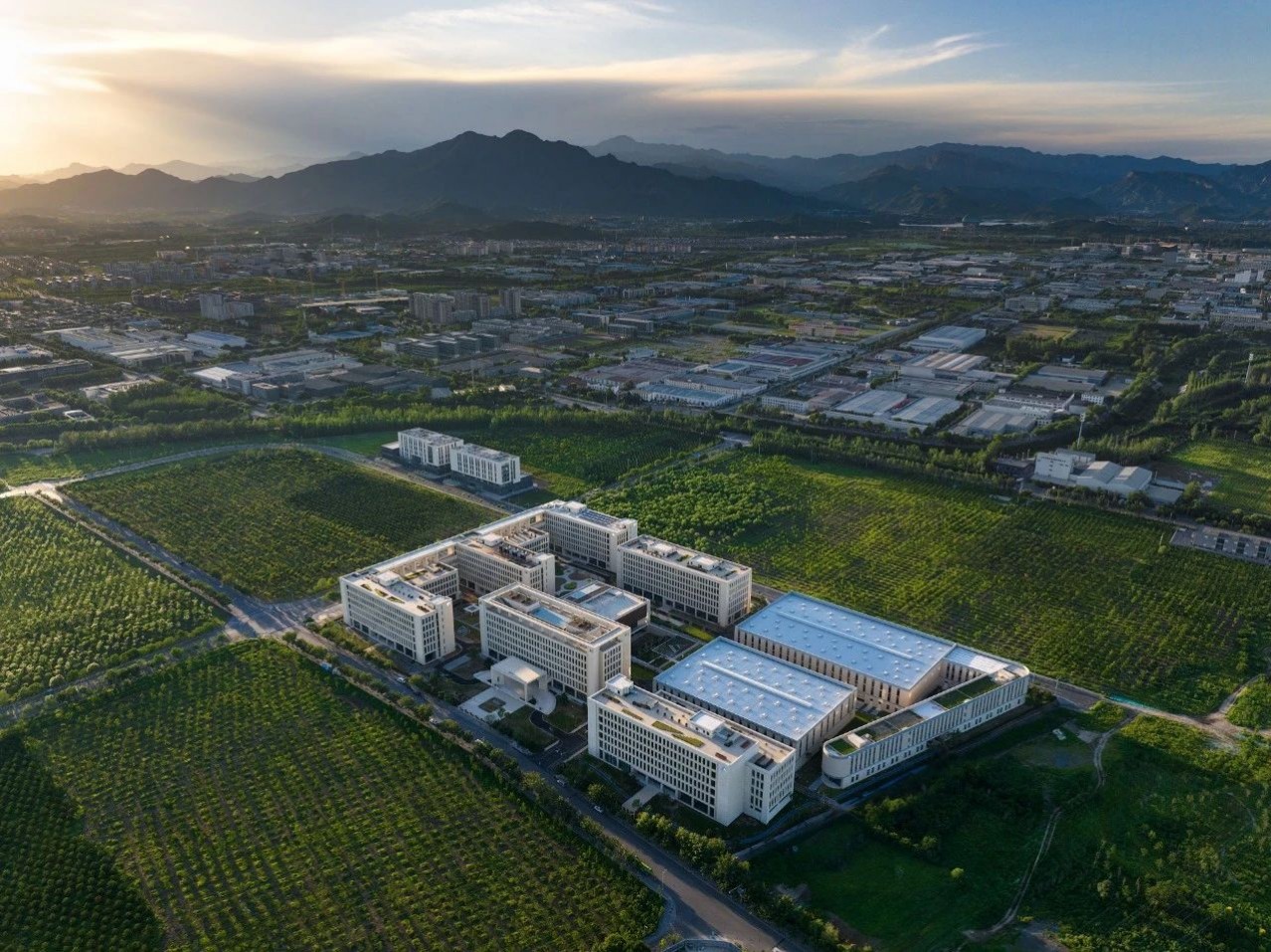 1698046753309090.jpg 1698046753309090.jpg