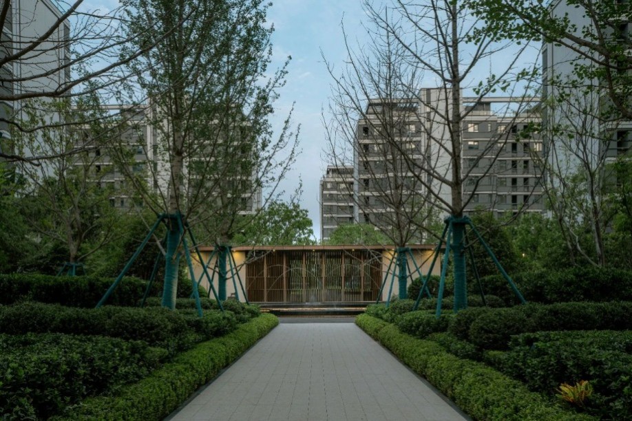 1702603812114781.jpg 1702603812114781.jpg